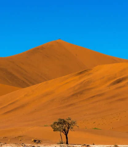 feature picture