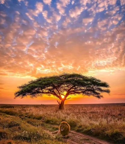 feature picture